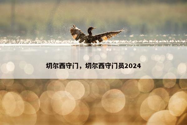 切尔西守门，切尔西守门员2024