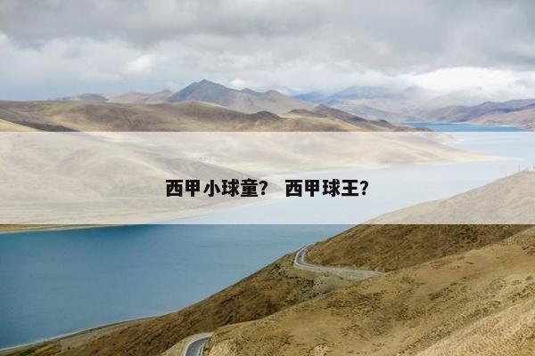 西甲小球童？ 西甲球王？