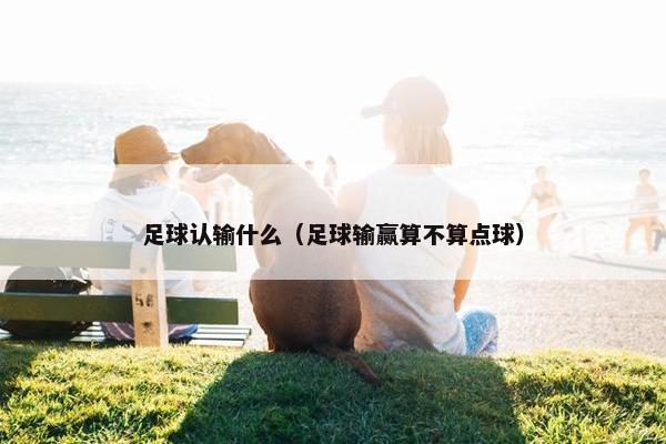 足球认输什么（足球输赢算不算点球）