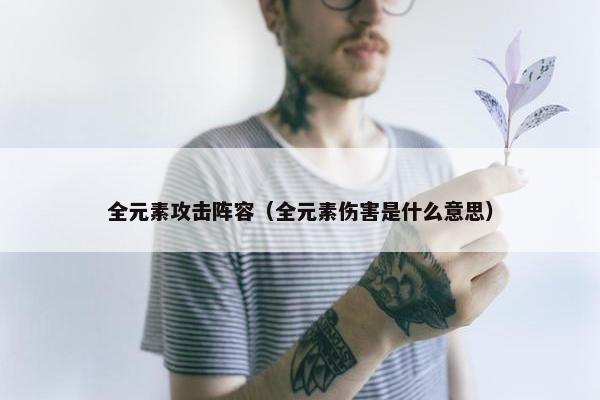全元素攻击阵容（全元素伤害是什么意思）
