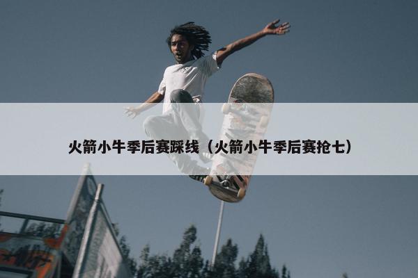 火箭小牛季后赛踩线（火箭小牛季后赛抢七）
