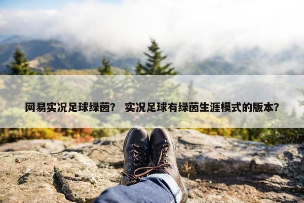 网易实况足球绿茵？ 实况足球有绿茵生涯模式的版本？