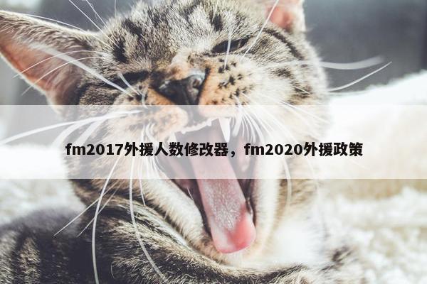 fm2017外援人数修改器，fm2020外援政策