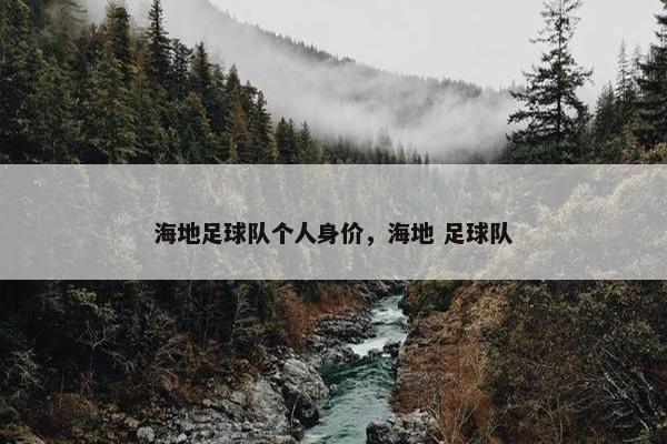 海地足球队个人身价，海地 足球队