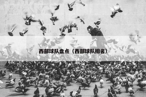 西部球队盘点（西部球队排名）