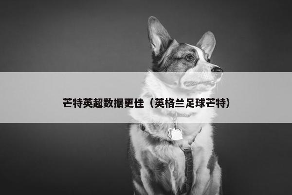 芒特英超数据更佳（英格兰足球芒特）