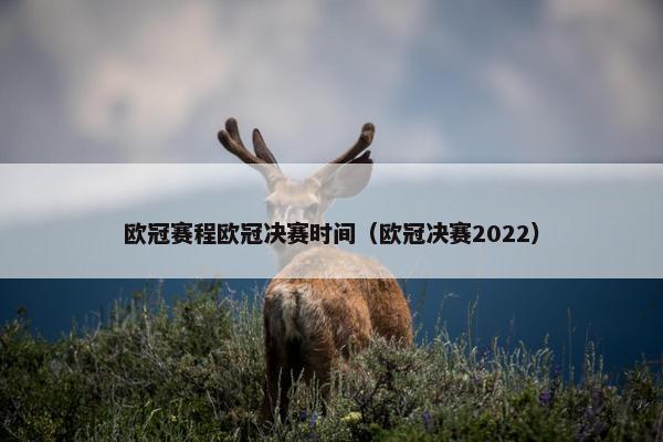 欧冠赛程欧冠决赛时间（欧冠决赛2022）
