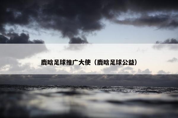 鹿晗足球推广大使（鹿晗足球公益）