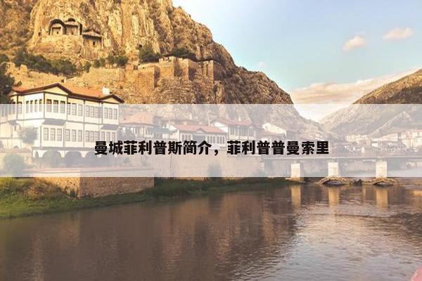曼城菲利普斯简介，菲利普普曼索里