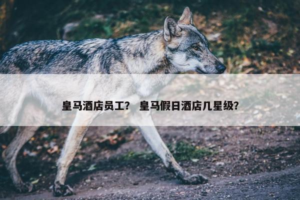皇马酒店员工？ 皇马假日酒店几星级？