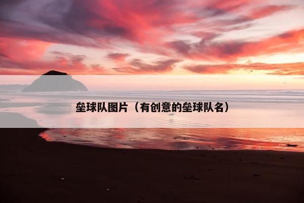 垒球队图片（有创意的垒球队名）