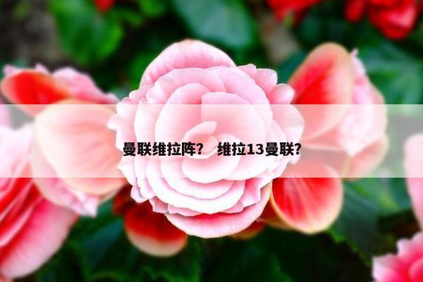 曼联维拉阵？ 维拉13曼联？