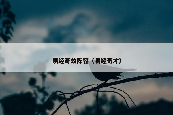 易经奇效阵容（易经奇才）