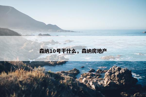 森纳10号干什么，森纳房地产