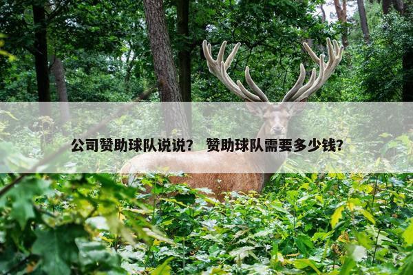 公司赞助球队说说？ 赞助球队需要多少钱？