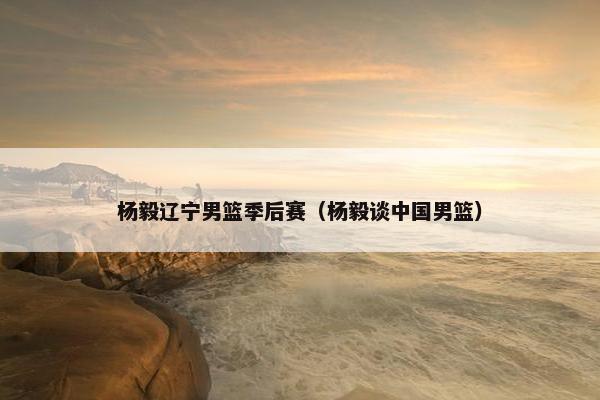 杨毅辽宁男篮季后赛（杨毅谈中国男篮）