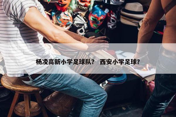 杨凌高新小学足球队？ 西安小学足球？