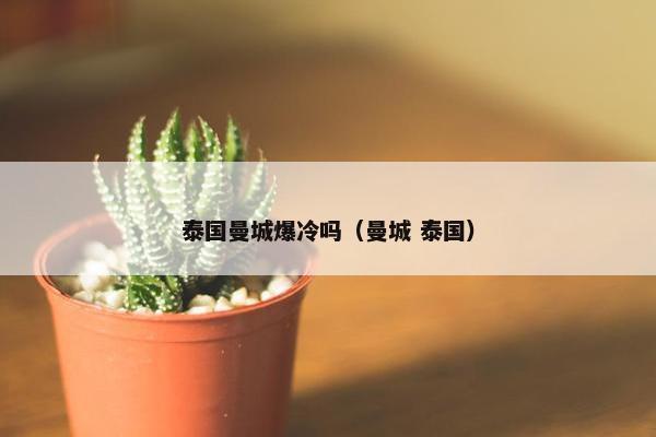 泰国曼城爆冷吗（曼城 泰国）