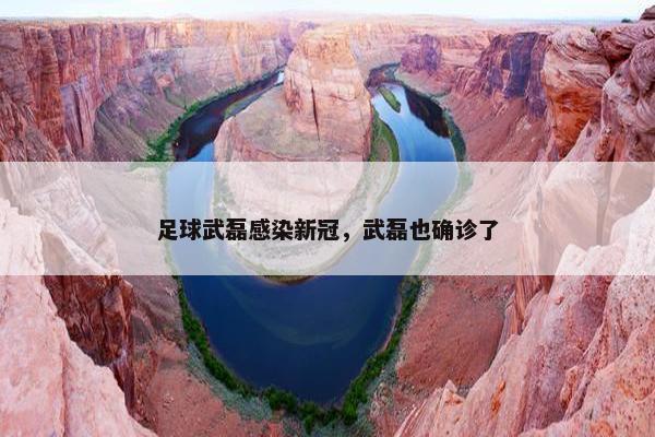 足球武磊感染新冠，武磊也确诊了