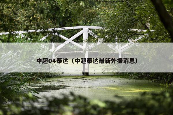 中超04泰达（中超泰达最新外援消息）