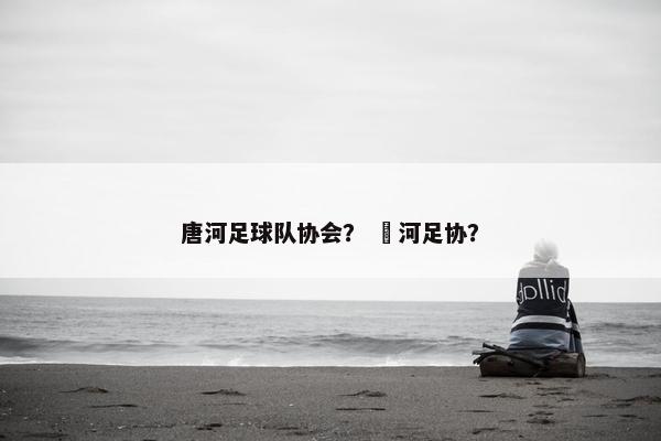 唐河足球队协会？ 瀍河足协？