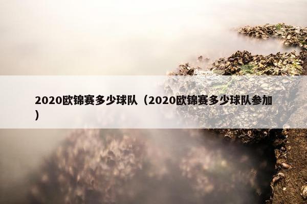 2020欧锦赛多少球队（2020欧锦赛多少球队参加）