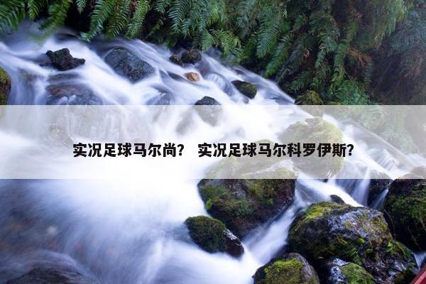 实况足球马尔尚？ 实况足球马尔科罗伊斯？