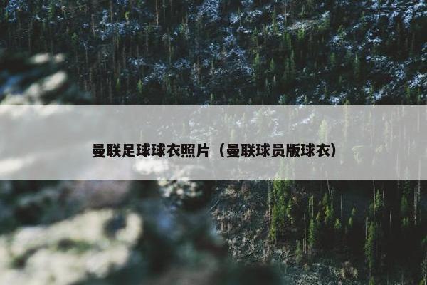曼联足球球衣照片（曼联球员版球衣）
