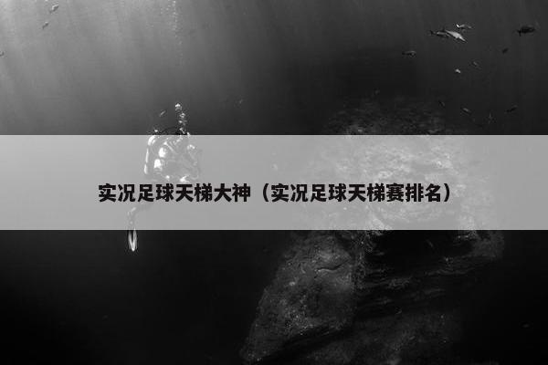 实况足球天梯大神（实况足球天梯赛排名）