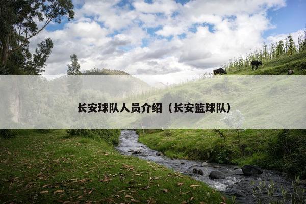 长安球队人员介绍（长安篮球队）