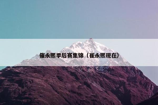催永熙季后赛集锦（崔永熙现在）