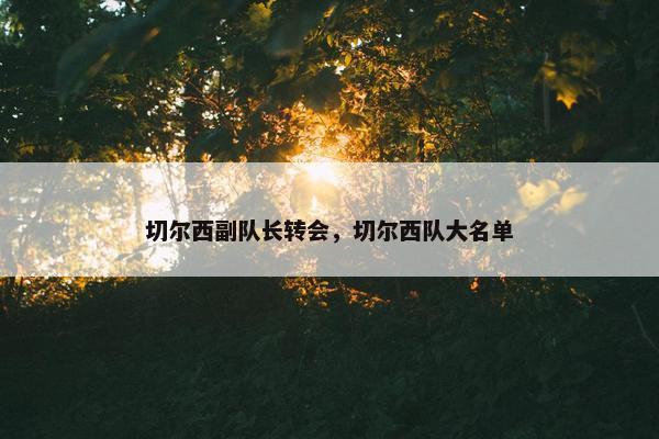 切尔西副队长转会，切尔西队大名单