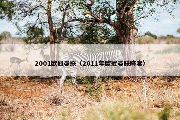 2001欧冠曼联（2011年欧冠曼联阵容）