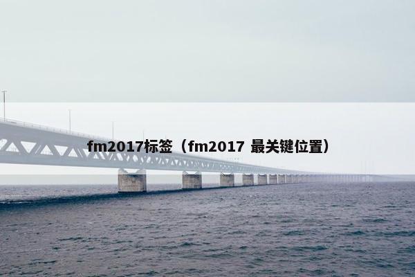 fm2017标签（fm2017 最关键位置）