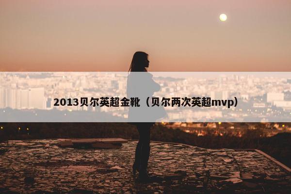 2013贝尔英超金靴（贝尔两次英超mvp）
