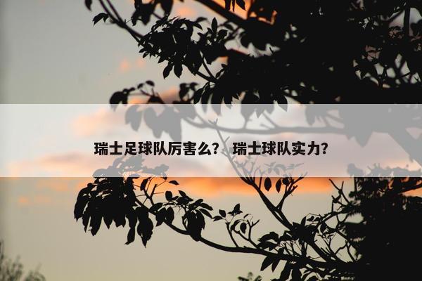 瑞士足球队厉害么？ 瑞士球队实力？