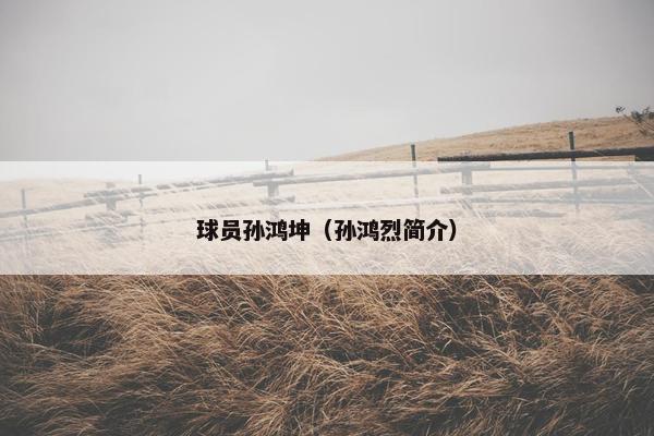 球员孙鸿坤（孙鸿烈简介）