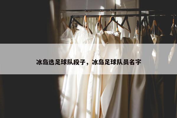冰岛选足球队段子，冰岛足球队员名字