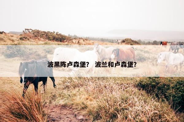 波黑阵卢森堡？ 波兰和卢森堡？