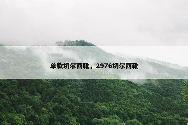 单款切尔西靴，2976切尔西靴