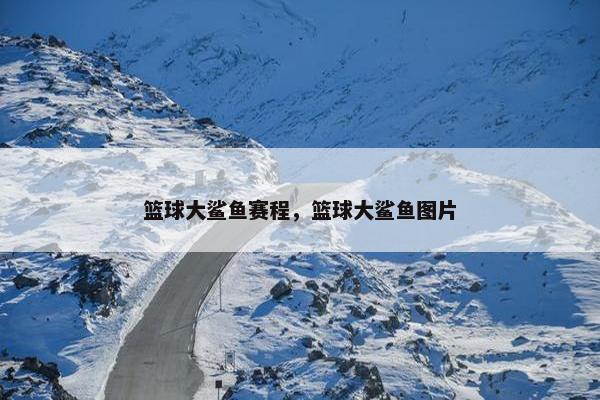 篮球大鲨鱼赛程，篮球大鲨鱼图片