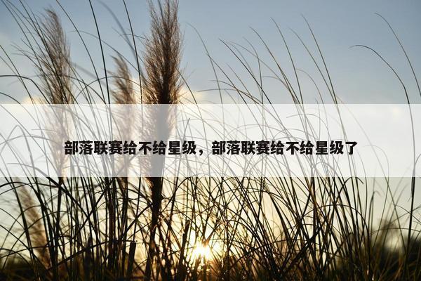 部落联赛给不给星级，部落联赛给不给星级了