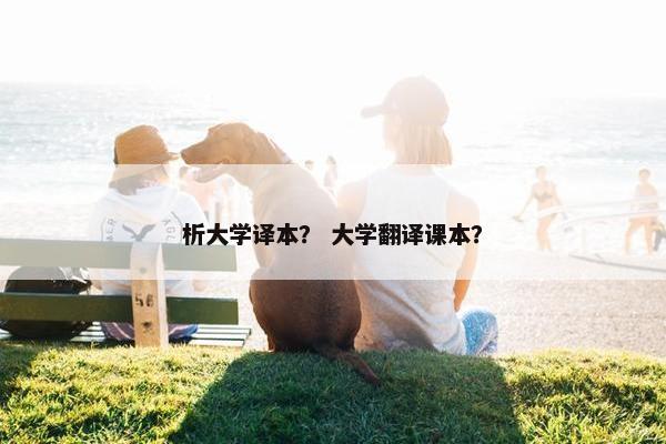 析大学译本？ 大学翻译课本？