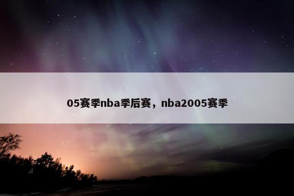 05赛季nba季后赛，nba2005赛季