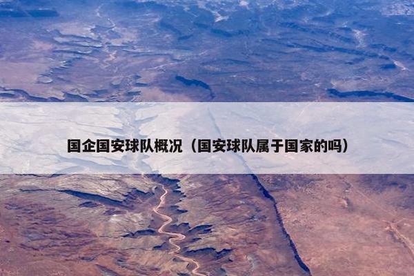 国企国安球队概况（国安球队属于国家的吗）