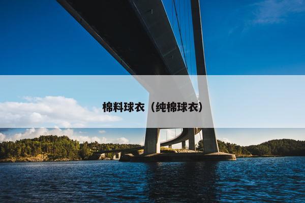 棉料球衣（纯棉球衣）