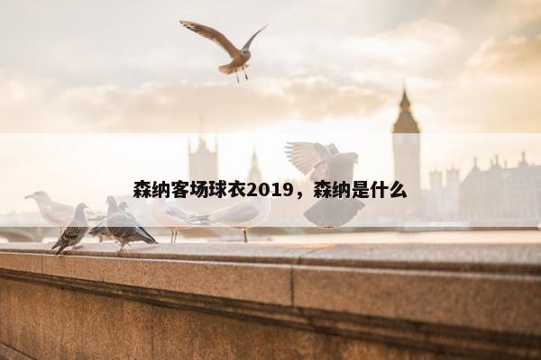 森纳客场球衣2019，森纳是什么