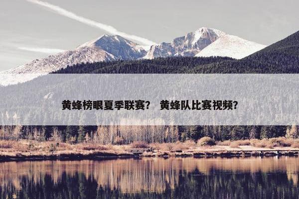 黄蜂榜眼夏季联赛？ 黄蜂队比赛视频？