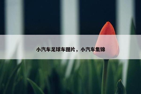 小汽车足球车图片，小汽车集锦