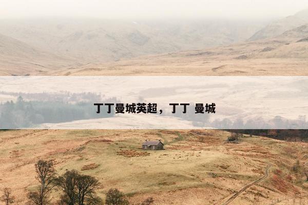 丁丁曼城英超，丁丁 曼城